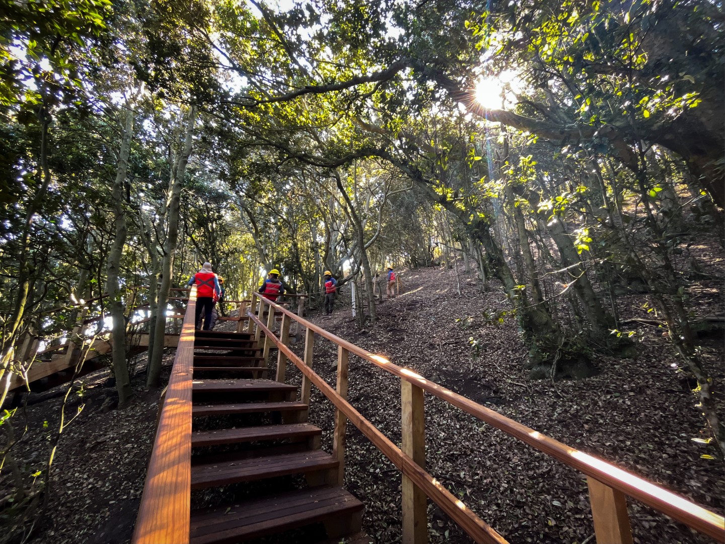 Día Mundial del Medio Ambiente Minera Los Pelambres protege 27.000 hectáreas de alto valor ecológico en la región de Coquimbo