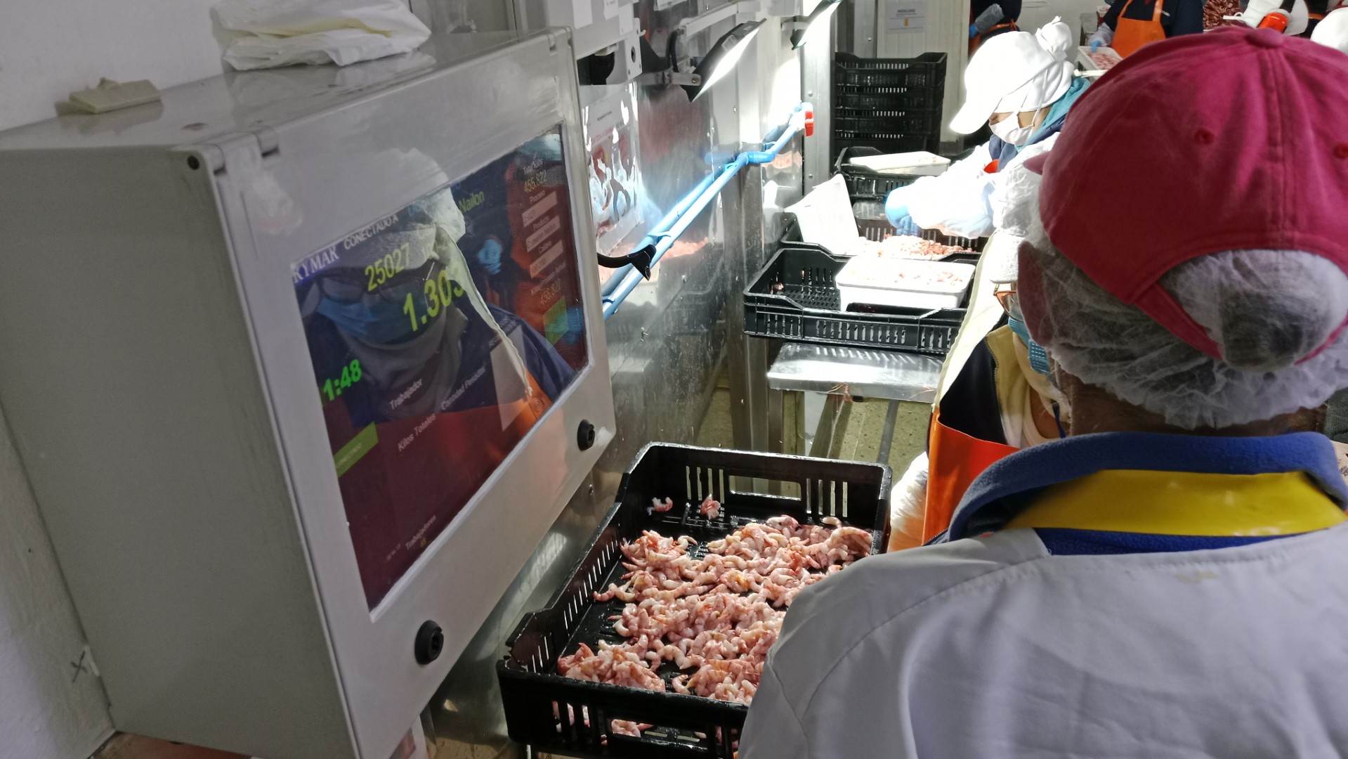 Industria Pesquera de Coquimbo Conquista Mercados Globales con Rigurosas Certificaciones de Calidad y Sostenibilidad