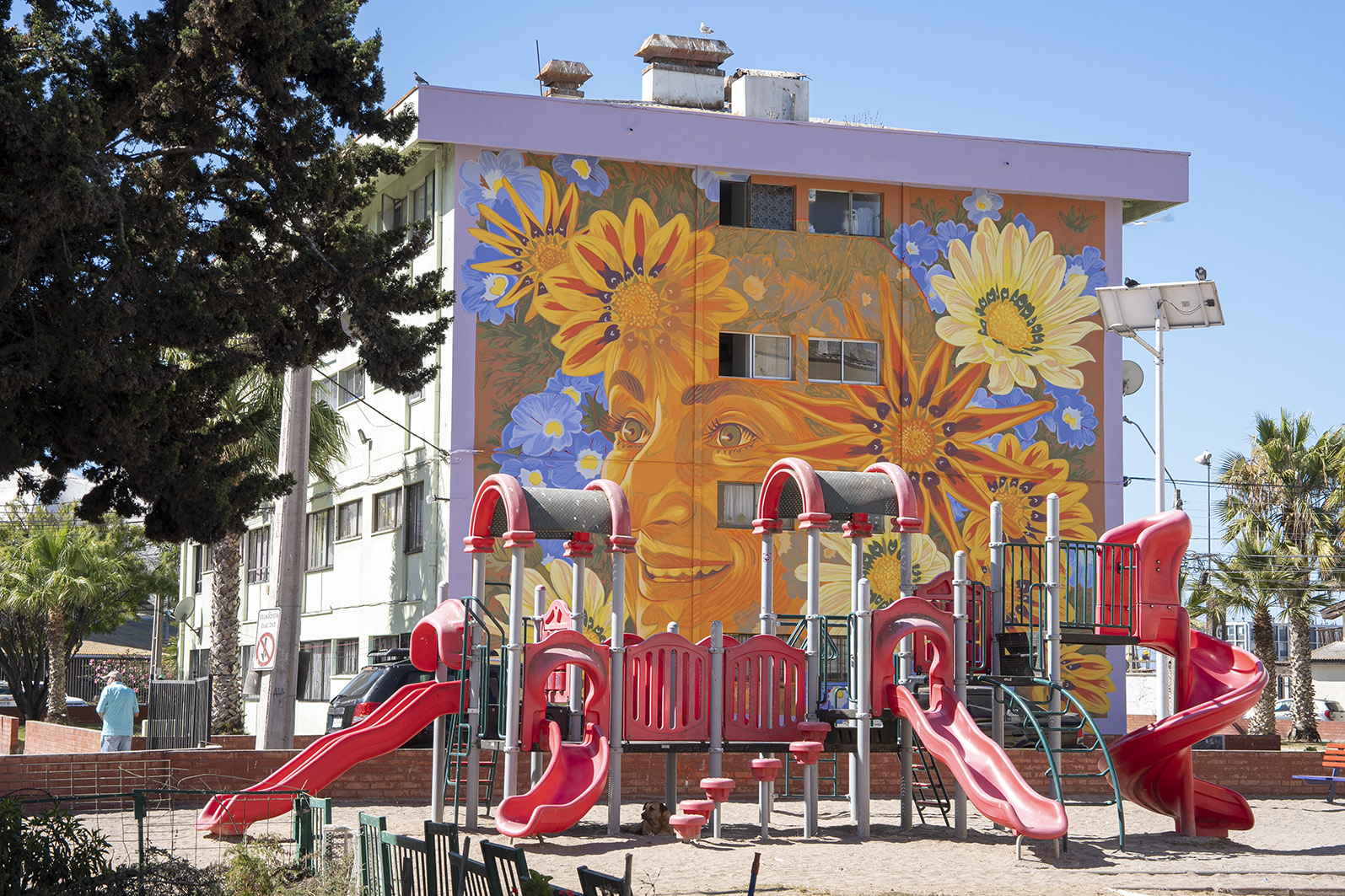 Coquimbo se consolida como la ciudad de los murales con obras de destacados artistas en el primer museo al aire libre